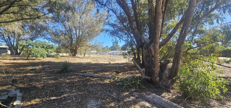 0 Bedroom Property for Sale in Hopefield Western Cape